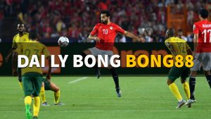 dai ly bong bong88